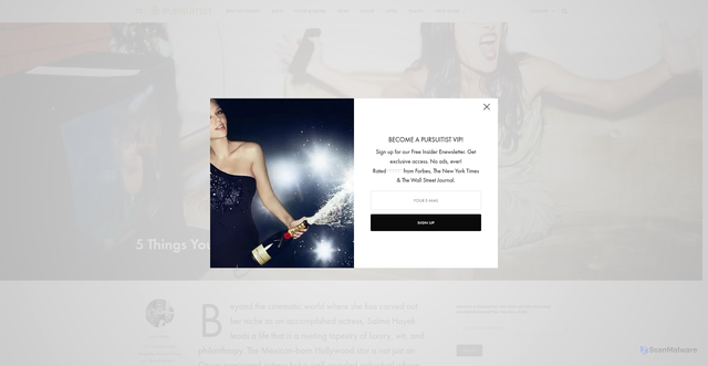 Security scan screenshot of https://pursuitist.com/5-things-you-didnt-know-about-salma-hayek/