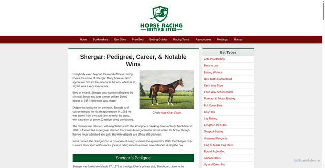 Security scan screenshot of https://www.horseracingbettingsites.co.uk/horses/shergar/