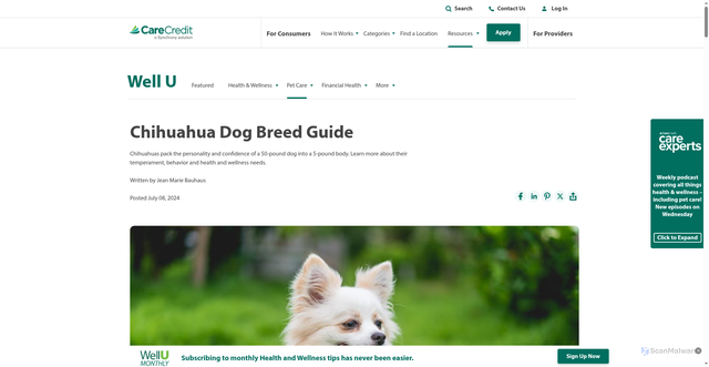 Security scan screenshot of https://www.carecredit.com/well-u/pet-care/chihuahua-dog-breed/