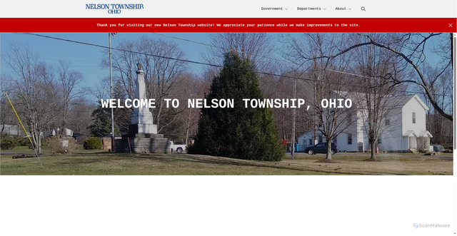 Security scan screenshot of https://nelsontwpoh.gov/