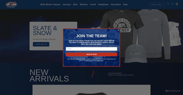 Security scan screenshot of https://www.shopusahockey.com/