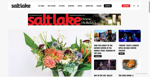 Security scan screenshot of https://saltlakemagazine.com/