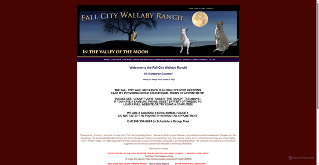 Security scan screenshot of https://www.wallabyranch.org/