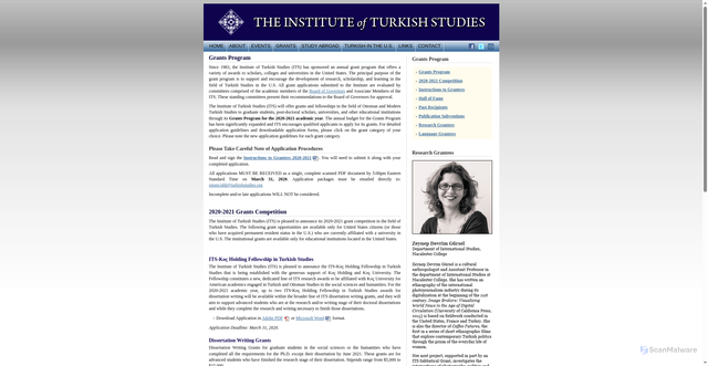 Security scan screenshot of https://www.turkishstudies.org