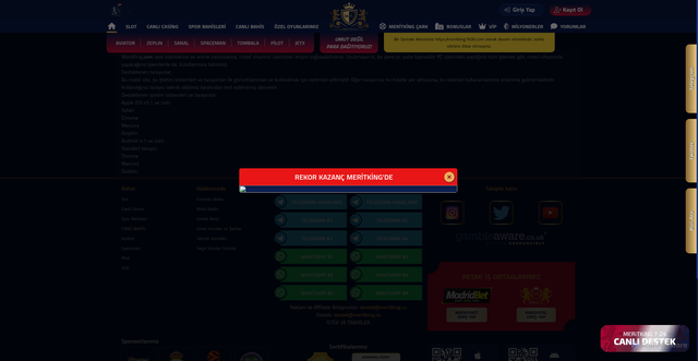 Security scan screenshot of https://meriyking1698.com/mobilbahis