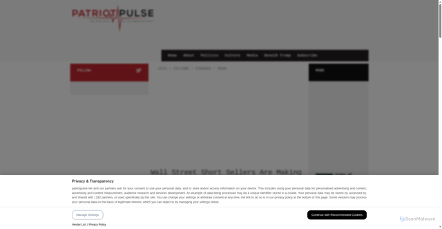 Security scan screenshot of https://patriotpulse.net/wall-street-short-sellers-are-making-a-fortune-off-elon-musks-spacex-stock-crash/