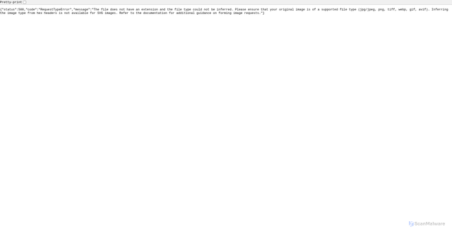 Security scan screenshot of https://img.flamingo.shop