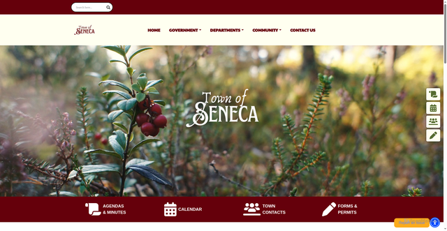 Security scan screenshot of https://townofsenecawoodcowi.gov/