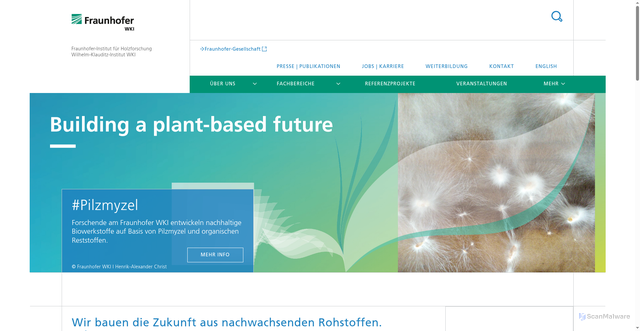 Security scan screenshot of https://www.wki.fraunhofer.de/