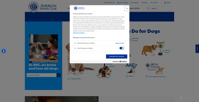 Security scan screenshot of https://www.akc.org