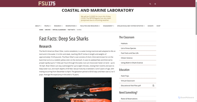 Security scan screenshot of https://marinelab.fsu.edu/archive/virtual-classroom/fast-facts/sharks/