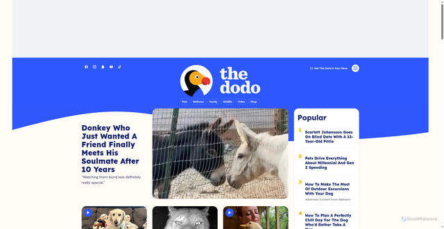 Security scan screenshot of https://thedodo.com