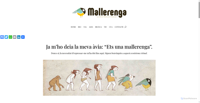 Security scan screenshot of https://mallerenga.com