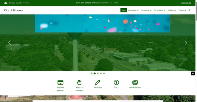 Security scan screenshot of https://blossomtexas.gov/