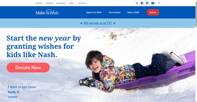 Security scan screenshot of https://wish.org