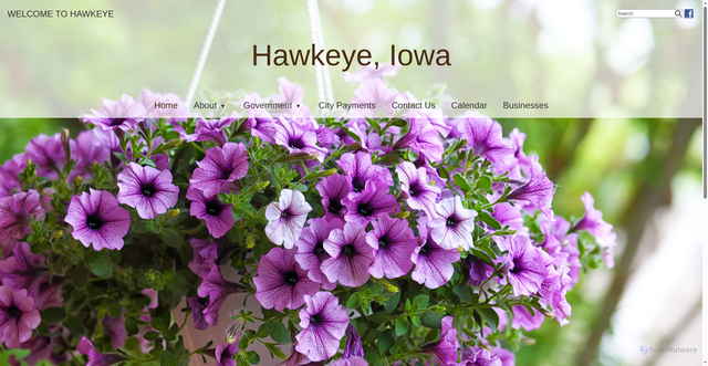 Security scan screenshot of https://hawkeyeia.gov/