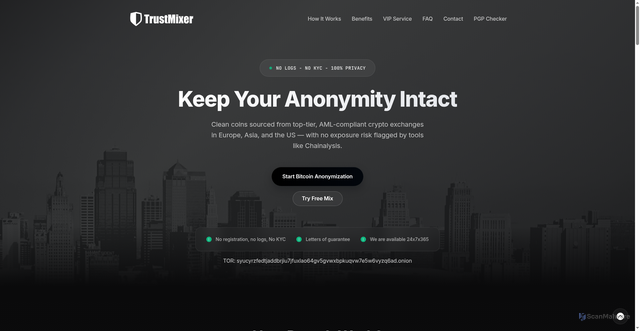 Security scan screenshot of https://trustmixer.org/