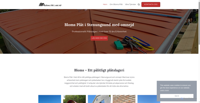 Security scan screenshot of https://blomsplat.se