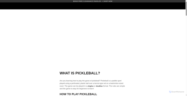 Security scan screenshot of https://www.onixpickleball.com/blogs/learn-pickleball/what-is-pickleball