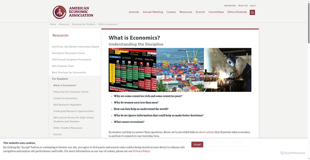 Security scan screenshot of https://www.aeaweb.org/resources/students/what-is-economics