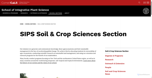 Security scan screenshot of https://css.cornell.edu