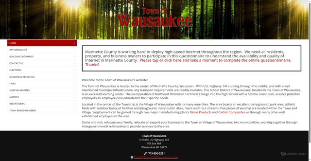 Security scan screenshot of https://townofwausaukee.com/