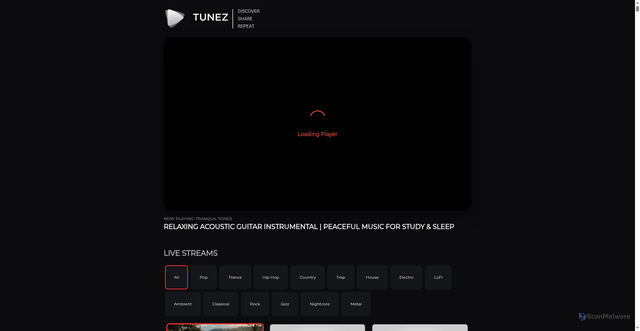 Security scan screenshot of https://tunez.com/