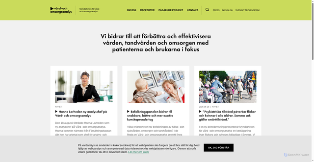Security scan screenshot of https://www.vardanalys.se/