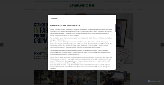 Security scan screenshot of https://www.nausicaacarrara.it/