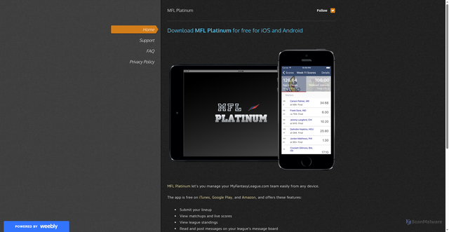 Security scan screenshot of https://www.mflplatinum.com/