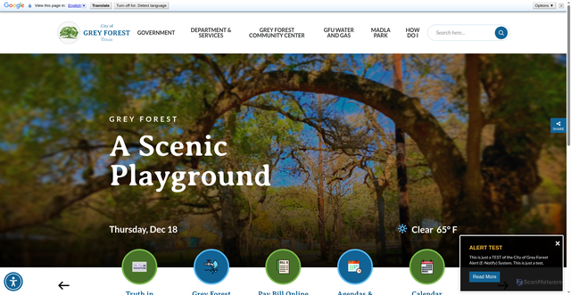 Security scan screenshot of https://greyforest-tx.gov/