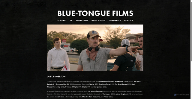 Security scan screenshot of https://bluetonguefilms.com/joel-edgerton