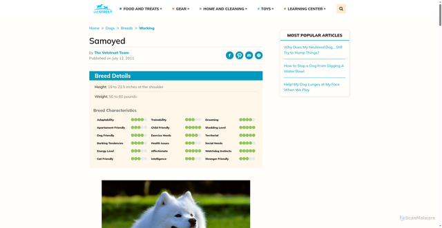 Security scan screenshot of https://www.vetstreet.com/dogs/samoyed