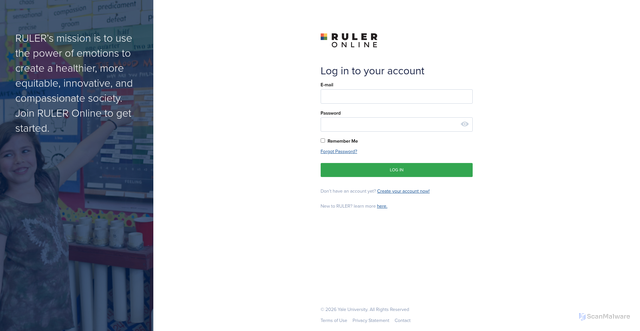 Security scan screenshot of https://ruler.online