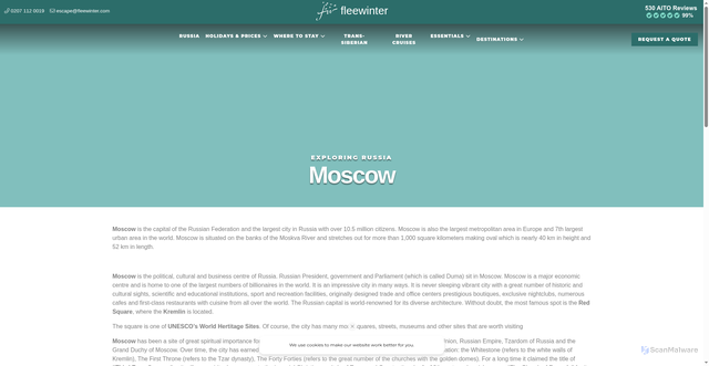 Security scan screenshot of https://www.fleewinter.com/russia/moscow/