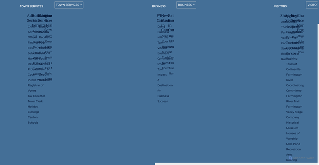 Security scan screenshot of https://townofcantonct.gov/