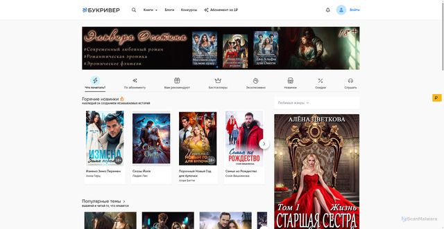 Security scan screenshot of https://bookriver.ru
