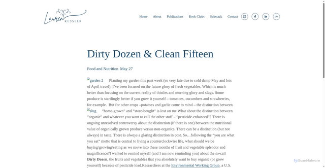 Security scan screenshot of https://www.laurenkessler.com/lauren-chronicles/food-and-nutrition/dirty-dozen-clean-fifteen