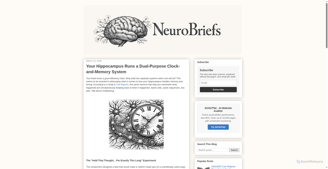 Security scan screenshot of https://neurobriefs.pages.dev/2026/03/your-hippocampus-runs-a-dual-purpose-clock-and-mem