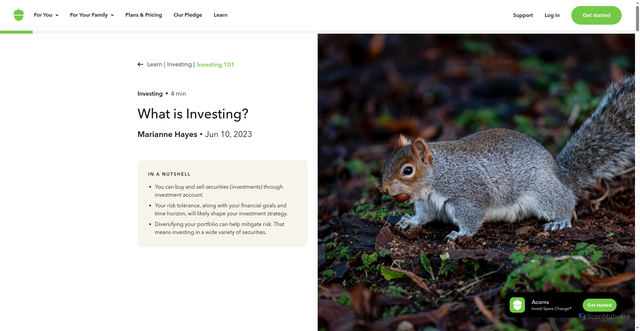 Security scan screenshot of https://www.acorns.com/learn/investing/what-is-investing/