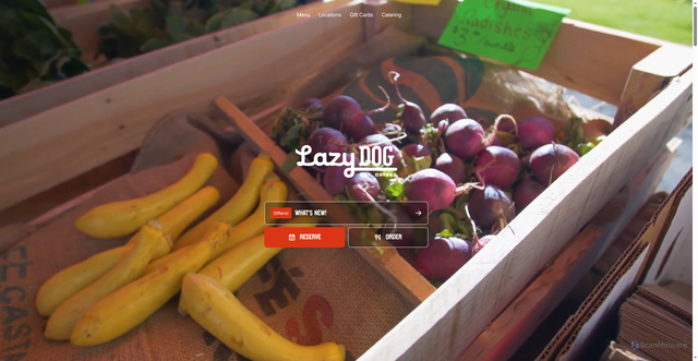 Security scan screenshot of https://www.lazydogrestaurants.com