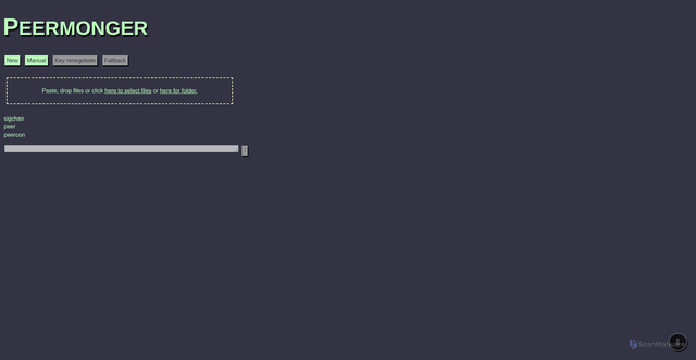 Security scan screenshot of https://peermonger.com