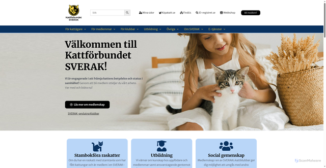Security scan screenshot of https://sverak.se