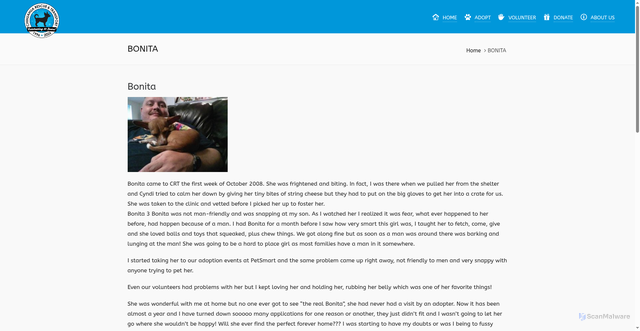 Security scan screenshot of https://www.chihuahua-rescue.com/bonita/