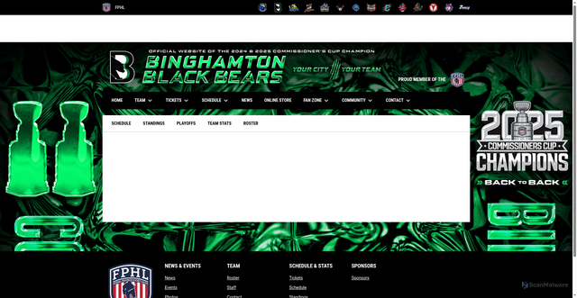 Security scan screenshot of https://www.binghamtonblackbears.com/stats