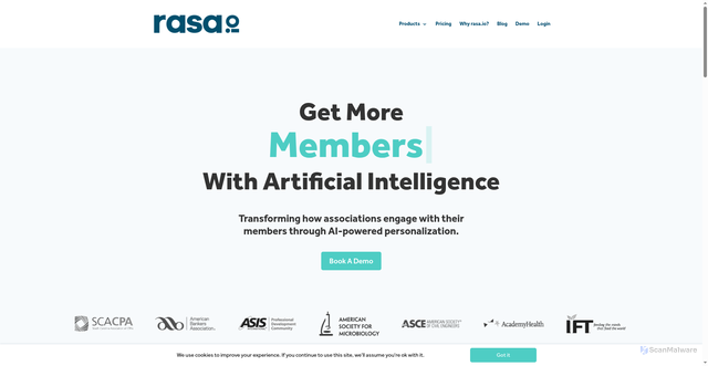 Security scan screenshot of https://rasa.io