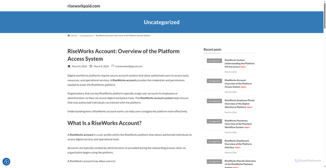 Security scan screenshot of https://riseworkpaid.com/riseworks-account-overview-of-the-platform-access-system/
