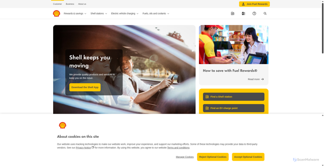 Security scan screenshot of https://www.shell.us/