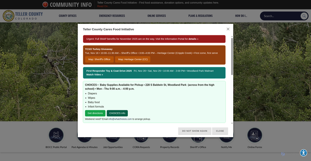 Security scan screenshot of https://tellercounty.gov/