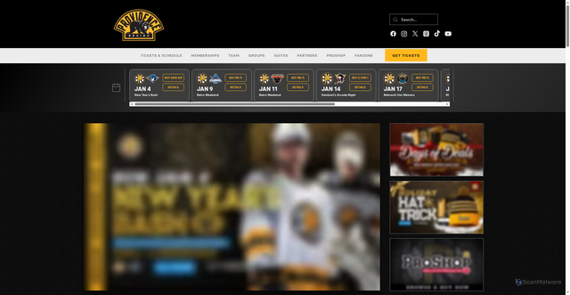 Security scan screenshot of https://www.providencebruins.com/